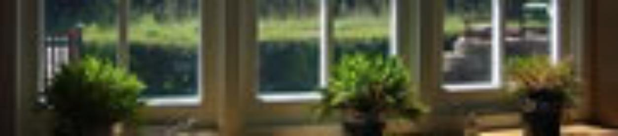 Window & Glazing