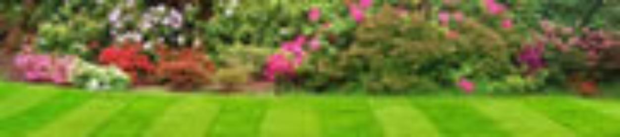Garden Services