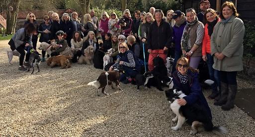 Charity dog walk raises £500