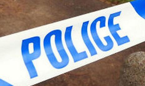 Family in theft plea