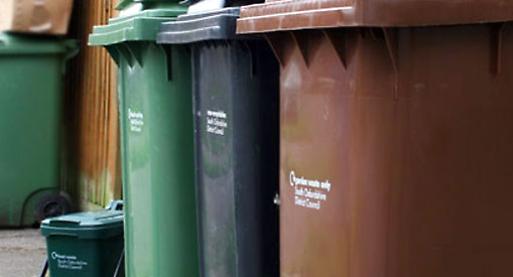 ‘Report a missed bin’