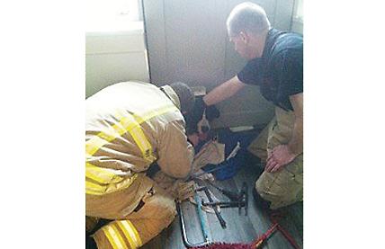Dog gets stuck in cat flap