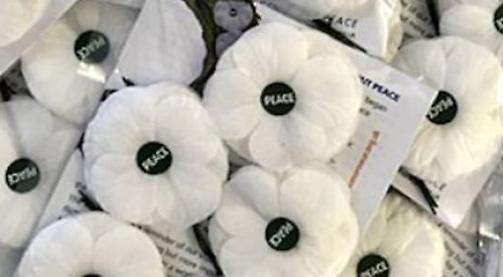 Quakers to give out white peace poppies
