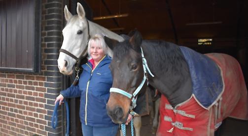 Horse injured after being spooked by firework noise