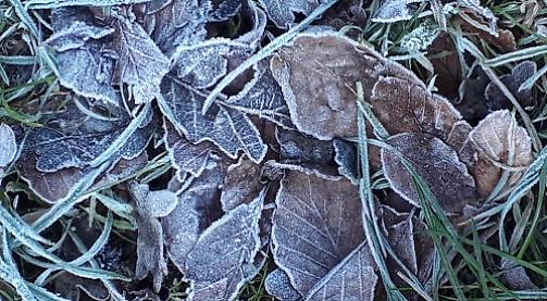 Dry, frosty month