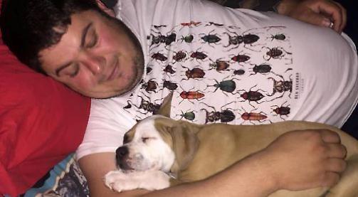 Couple in appeal to find pet dog ‘stolen’ during walk