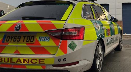 Boy, 12, dies after being hit by van
