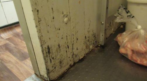 Restaurant fined £20,000 for breaking food hygiene and health and safety laws