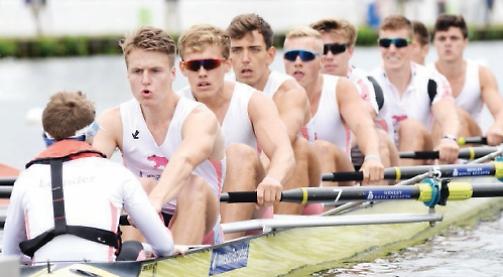 Royal Regatta could return next summer