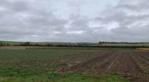 Gas-fired power station could be built on disused farmland