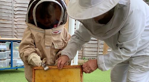 Children enjoy visit from beekeeper