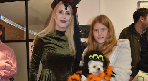 Haribo the Halloween (spider) hound