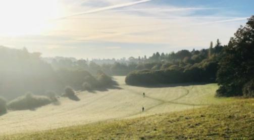 Frosty morning