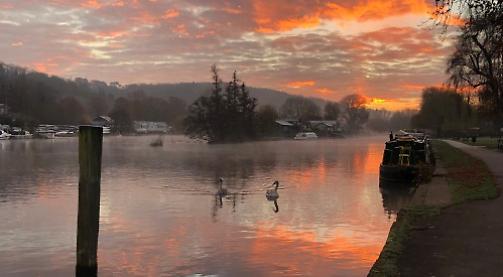 Frosty morning