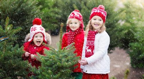 Nursery's doing it bit for sustainability