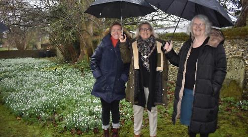 Snowdrop displays prove popular despite heavy rain