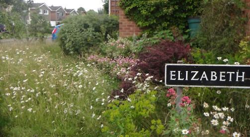 Woman buzzing after bee- friendly garden voted best
