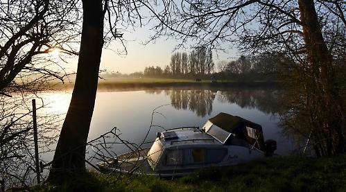 Morning light