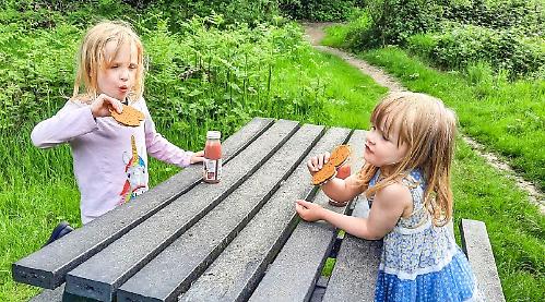 Berkshire, Buckinghamshire and Oxfordshire Wildlife Trust