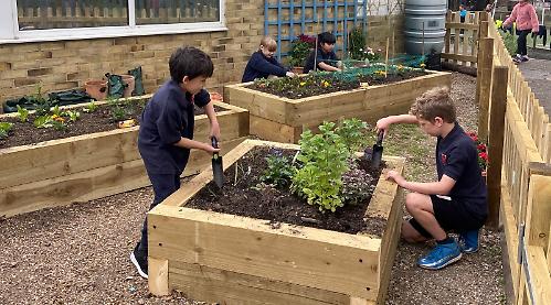School turns ‘unloved’ area into fruit and veg garden