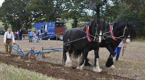 Perfect conditions for ploughing match