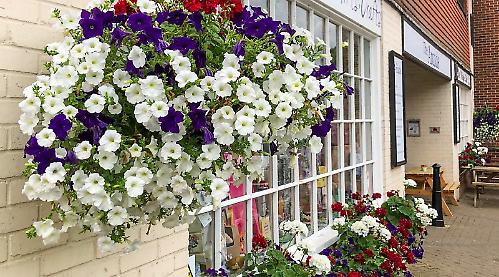 Seventh heaven for town after winning Bloom gold