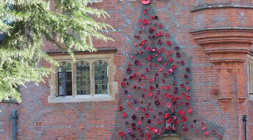 Remembrance display