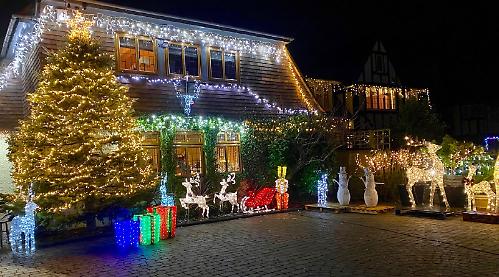 Couple light up home at Christmas for charity