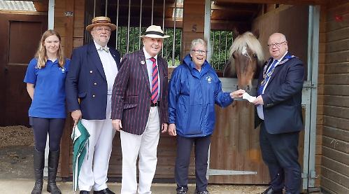 Horse gifted in memory of late wife