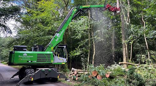 200 trees being felled due to ash dieback disease