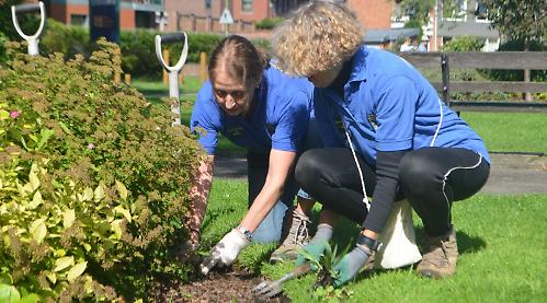 Gardening Buddies replant flowerbeds