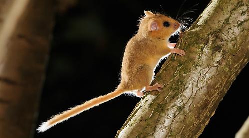 I’m worried about what we’re doing to nature, especially these cuties