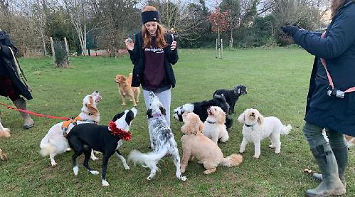 Hungry dogs and their owners gather for annual pre-Christmas celebration