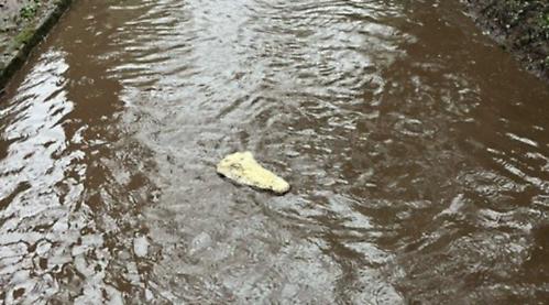 Your Letters: Croc