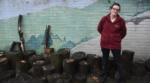 Rare newt found at nursery