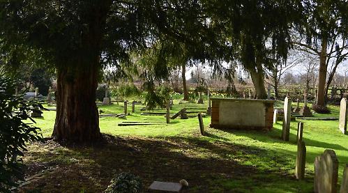 New life springing up in serene grounds where the dead rest in peace
