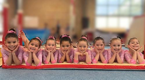 Kennylands gymnasts shine at south regional finals