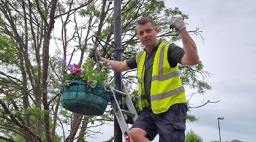 Time to buy summer hanging baskets