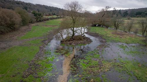 Babbling brook attracts wildlife after restoration