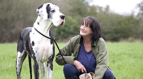 Woman takes lead with book to help dogs (and owners)