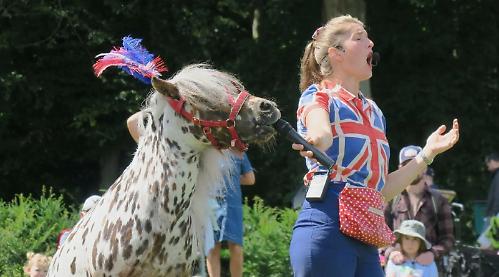 Maths, music and death-defying stunts by talented miniature ponies