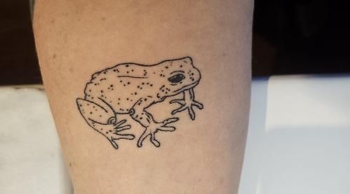 I love toads so much, I have tattoo of one on my forearm