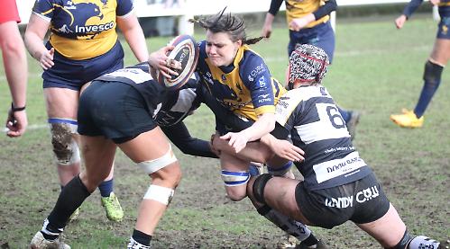 Smales wraps up scoring as Hawks put visitors to sword