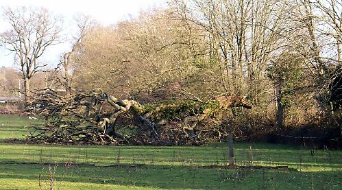 Visible aftermath of big tornado