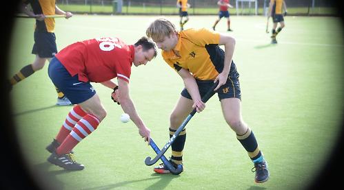 Harmer wraps up scoring as side maintain fine form