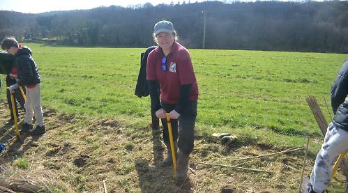 New hedge to help wildlife
