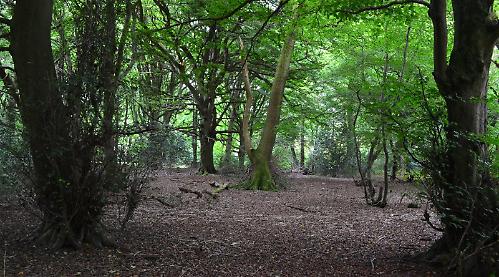 Treasured fairyland of fine and familiar that brings hope for future