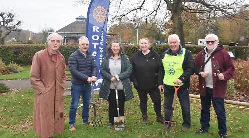 Crocus bulbs planted for polio awareness