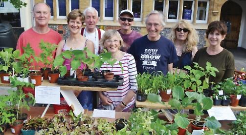 Allotment holders sell homegrown veg plants for charity