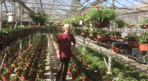 Garden centre to expand lawfully